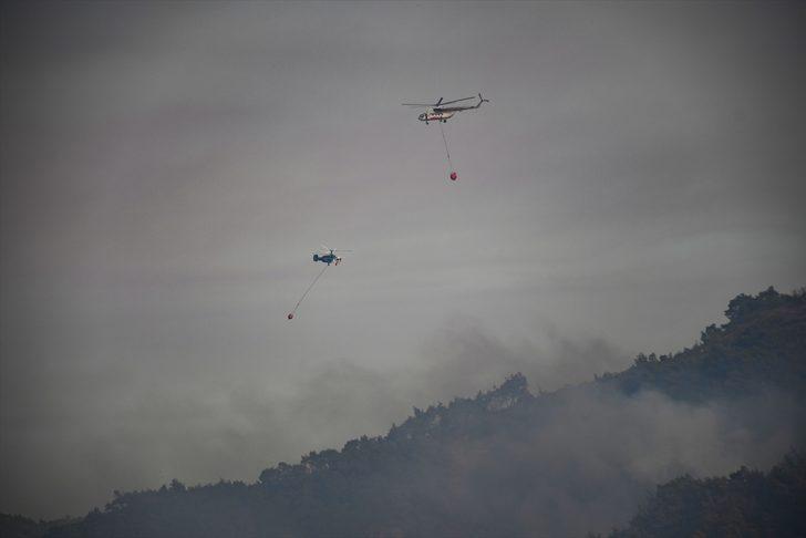 GÜNCELLEME 3 - Adana'da tarlada başlayıp ormanlık alana sıçrayan yangın kontrol altında G1