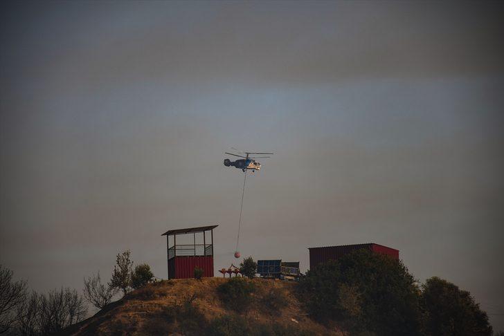 GÜNCELLEME 3 - Adana'da tarlada başlayıp ormanlık alana sıçrayan yangın kontrol altında G3