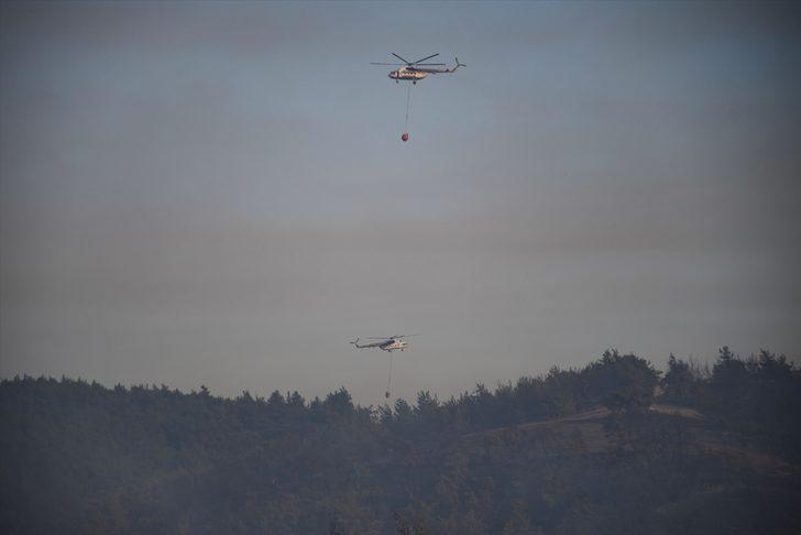 GÜNCELLEME 3 - Adana'da tarlada başlayıp ormanlık alana sıçrayan yangın kontrol altında G5