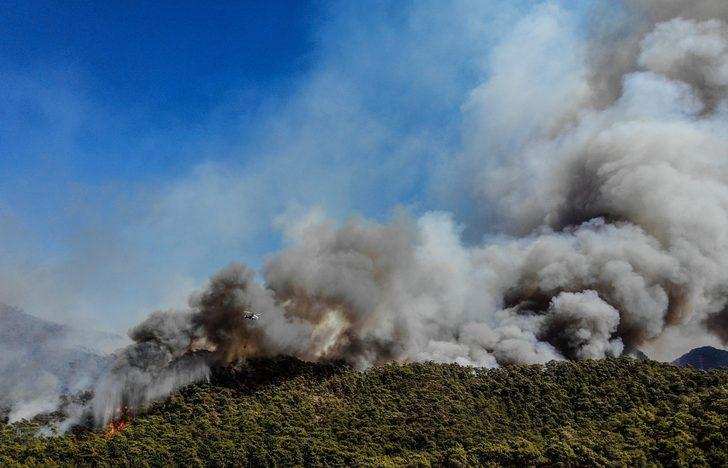 Adana, Denizli, Isparta, Marmaris, Köyceğiz, Milas, Bodrum, Manavgat'ta orman yangını! İşte yangınlardaki son durum G1