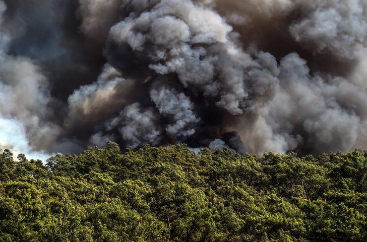 Adana, Denizli, Isparta, Marmaris, Köyceğiz, Milas, Bodrum, Manavgat'ta orman yangını! İşte yangınlardaki son durum G3