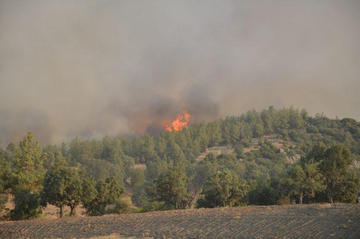 GÜNCELLEME - Aydın’da çıkan orman yangınına müdahale sürüyor G1