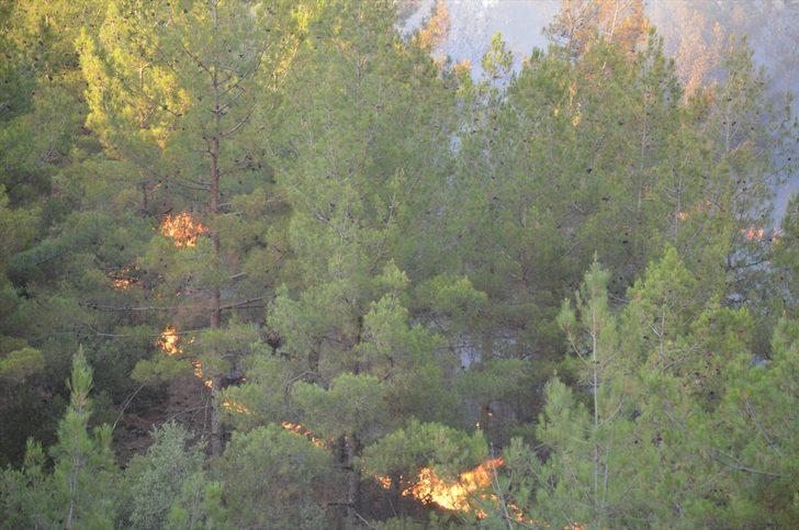 GÜNCELLEME - Aydın’da çıkan orman yangınına müdahale sürüyor G4