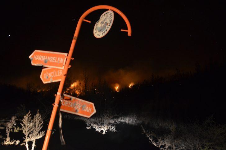 Aydın'daki orman yangını kontrol altına alındı G1