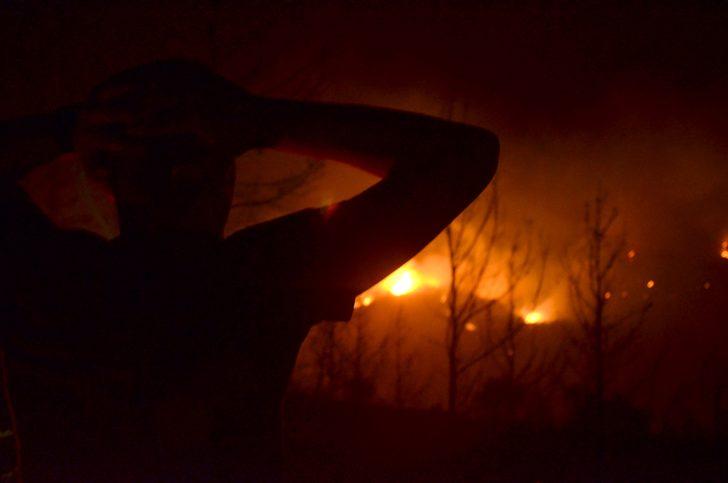 Aydın'daki orman yangını kontrol altına alındı G2