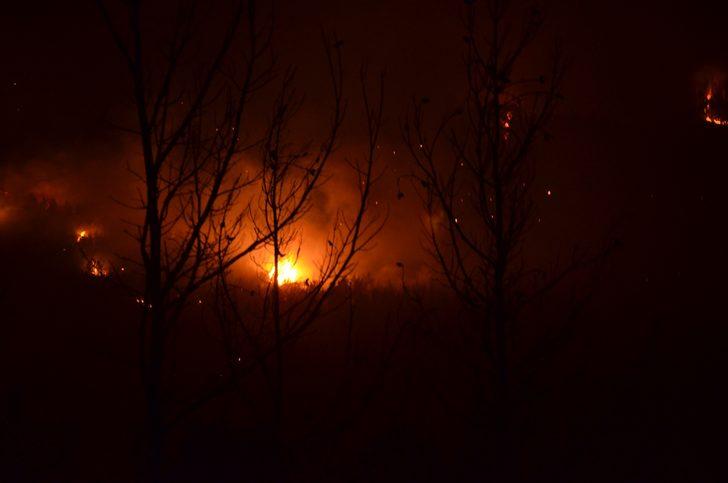 Aydın'daki orman yangını kontrol altına alındı G3