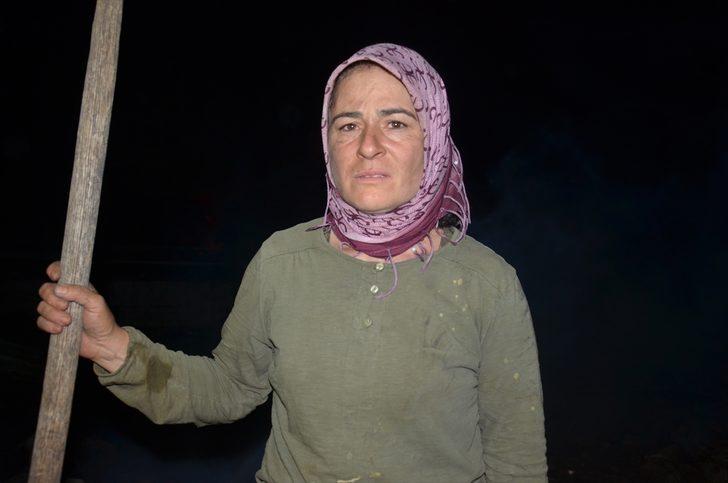 Aydın'daki orman yangını kontrol altına alındı G4