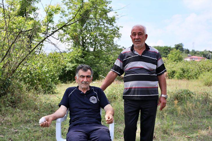 Samsun'da köpeğin saldırısına uğrayan kişi yaralandı G1