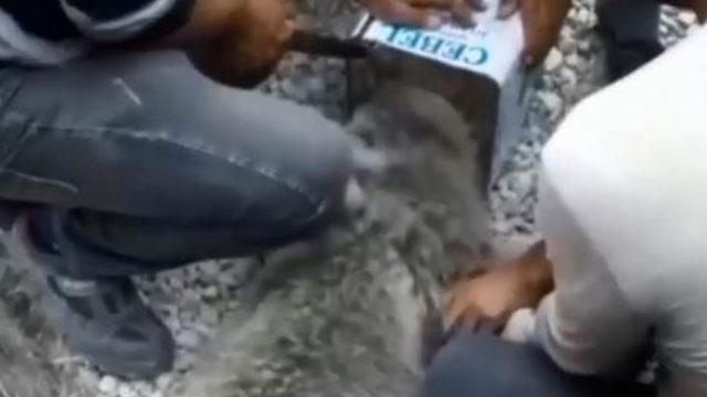 Çaresizce koştuğunu görünce seferber oldular