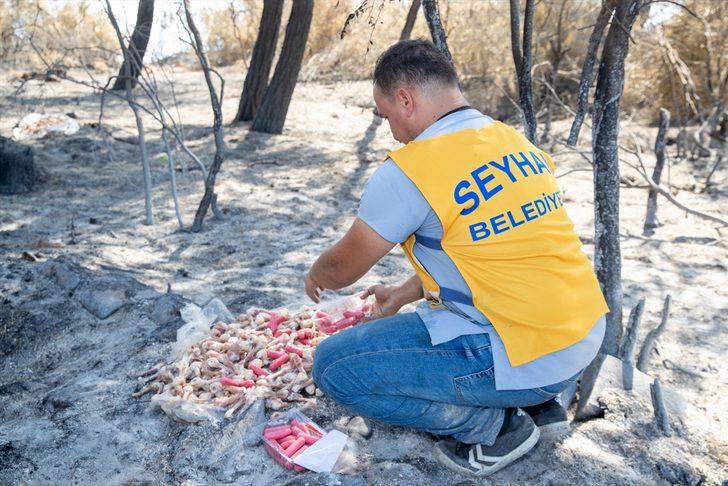 Adana'daki orman yangınlarında yaralanan hayvanlar tedavi ediliyor G3