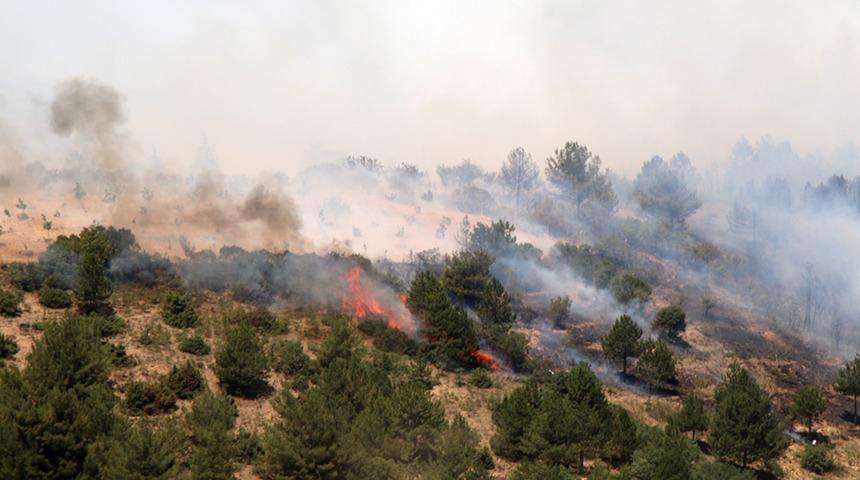 Uşak'taki orman yangının kontrol altına alındı