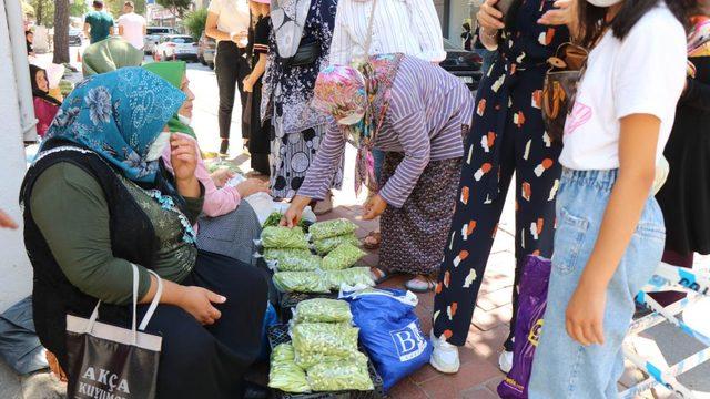 Yeşil altının boyu büyüdükçe fiyatı düşüyor! Kilosu ise 30 lira