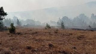 Son Dakika: Balıkesir'de orman yangını! 