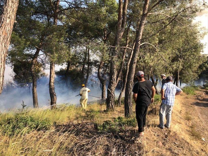 Manisa'da otomobilden ormana sıçrayan yangın söndürüldü G1