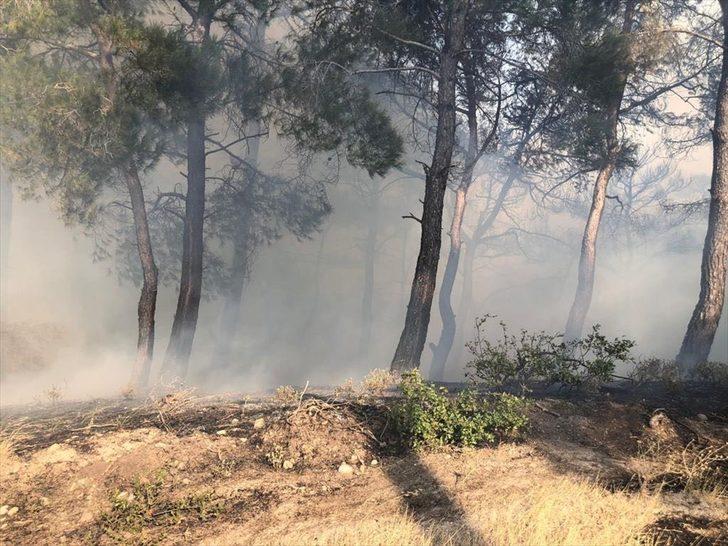 Manisa'da otomobilden ormana sıçrayan yangın söndürüldü G2