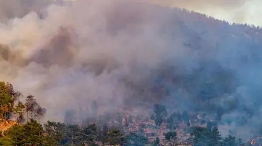 Aydın'da iki ilçede orman yangını çıktı