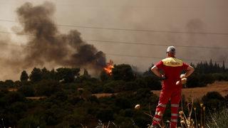 Atina’daki yangın kontrol altına alındı: 12 bin 500 dönüm alan küle döndü