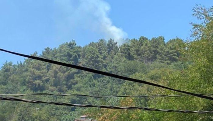 Son Dakika: Beykoz'da ormanlık alanda yangın
