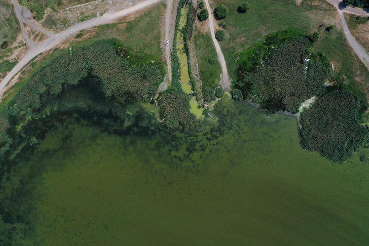 Uluabat Gölü'nün rengi alg patlamasıyla yeşile büründü G4