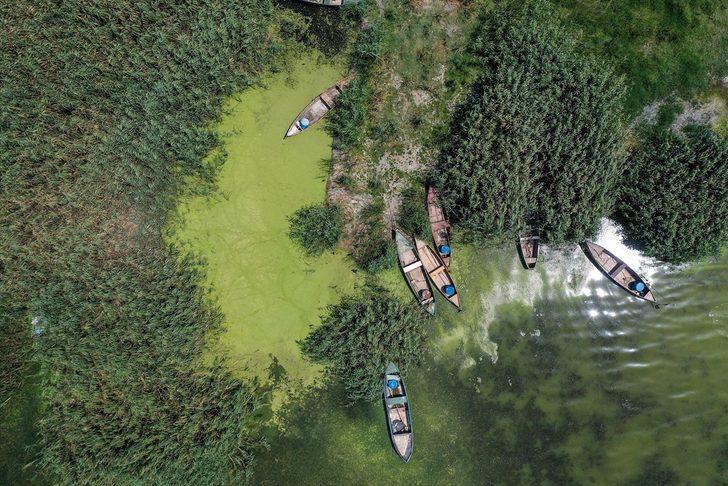 Uluabat Gölü'nün rengi alg patlamasıyla yeşile büründü G5