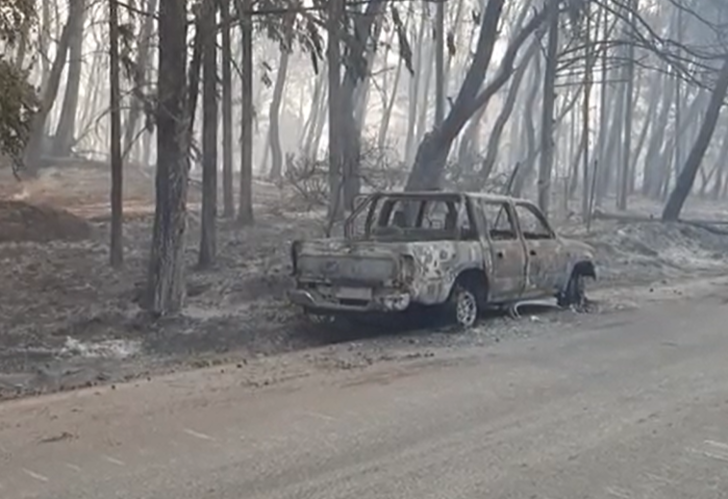 Atina’daki yangın kontrol altına alındı: 12 bin 500 dönüm alan küle döndü G4