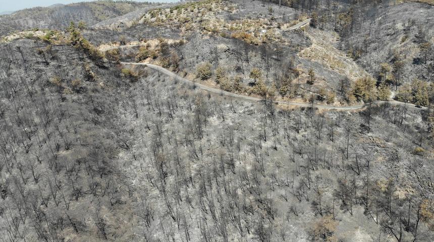 Yangın bölgelerinde "Pes" dedirten fırsatçılık! Yanan tarlaları satışa çıkardılar