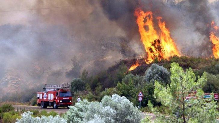 Karşı ateş nedir? Yangın, karşı yangınla söndürülür mü? İşte karşı ateş tekniği ayrıntıları... G1