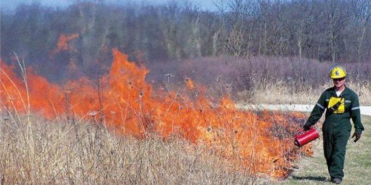 Karşı ateş nedir? Yangın, karşı yangınla söndürülür mü? İşte karşı ateş tekniği ayrıntıları... G2