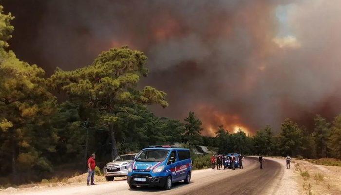 Türkiye Sigortalar Birliği: Yangın bölgelerindeki teminat tutarı 71 milyar lira