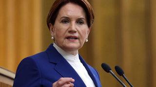 Akşener'den Erdoğan'ın yangınla ilgili açıklamalarına çok sert tepki