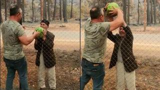 Yaşlı adam yanan evinin bahçesindeki karpuzları orman işçilerine verdi