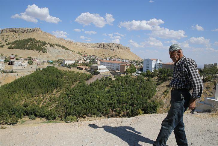 Ömrünü doğaya adayan Mardinli Şeyhmus amcadan "fidan dikin" çağrısı G1