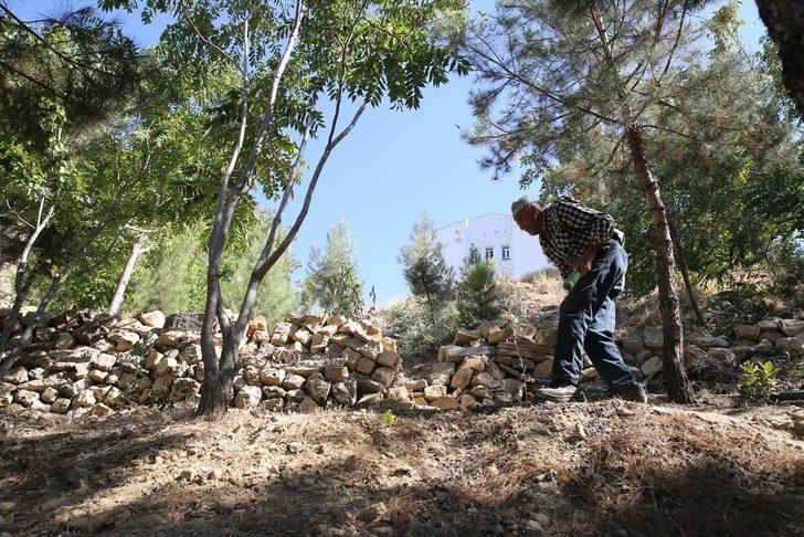 Ömrünü doğaya adayan Mardinli Şeyhmus amcadan "fidan dikin" çağrısı G2