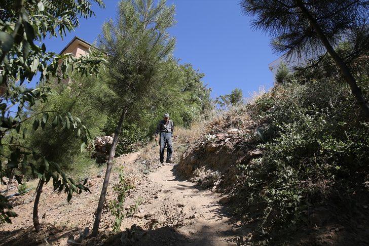 Ömrünü doğaya adayan Mardinli Şeyhmus amcadan "fidan dikin" çağrısı G4