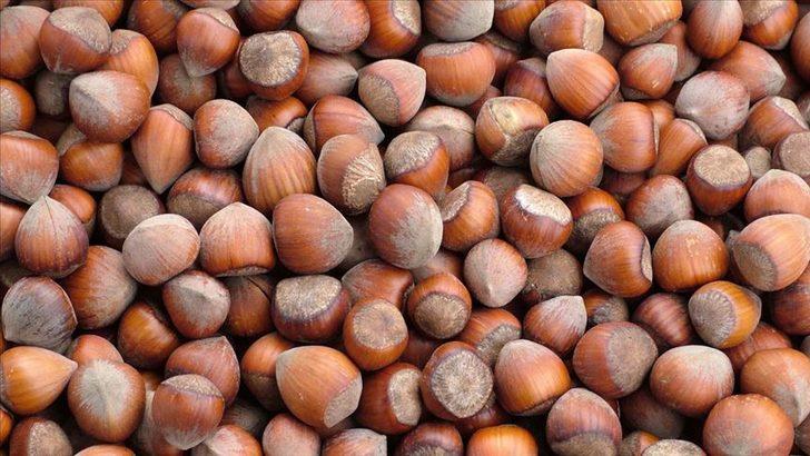 Fındık alım fiyatları ne kadar oldu? Cumhurbaşkanı Erdoğan açıkladı! G3