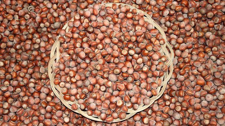 Fındık fiyatları ne kadar olur? Fındık taban fiyatları ne zaman açıklanacak? G5