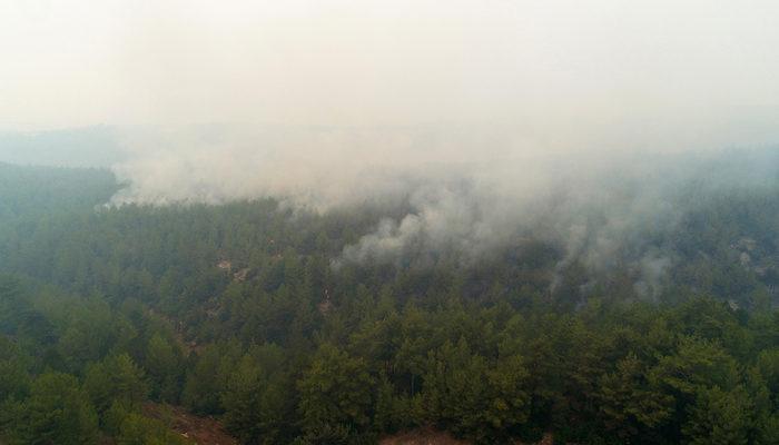 Orman yangınlarında son durum (Adana, Antalya, Aydın, Denizli, Hatay, Isparta, Muğla yangınlarında son durum)