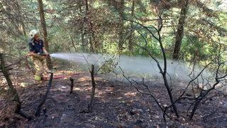 İstanbul'da Aydos Ormanı'nda yangın! İki kişi kaçıyordu