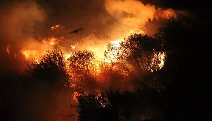 Muğla'daki yangınlarla ilgili yeni gelişme! 6 kişi tutuklandı