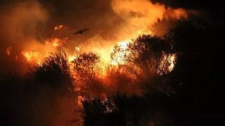 Muğla'daki yangınlarla ilgili yeni gelişme! 6 kişi tutuklandı