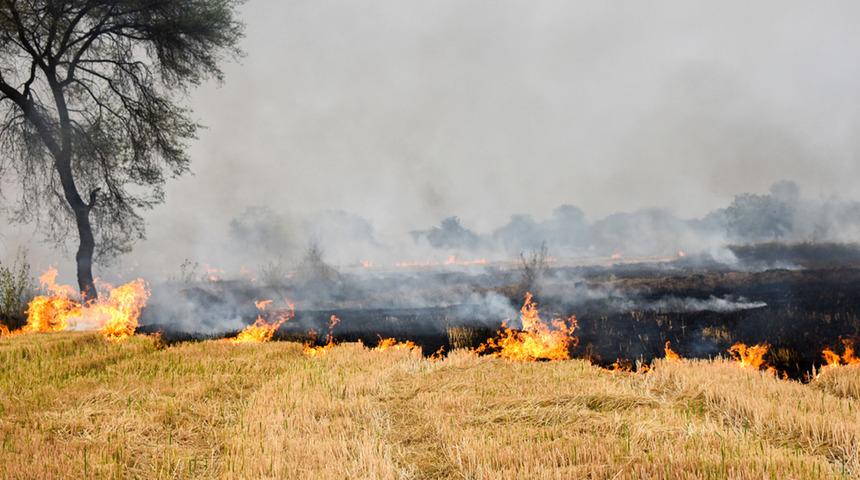 Edirne Valiliği duyurdu: Anız yakanlara dönüm başına 80 lira ceza verilecek