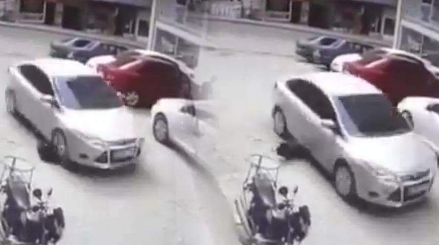 Göre göre köpeğin üzerinden geçen sürücü yakalandı!