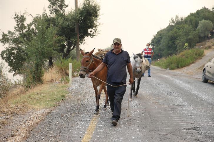 Acı veda! Milas'ta yangının tehdit ettiği 2 mahalledeki vatandaşlar tahliye edildi G1