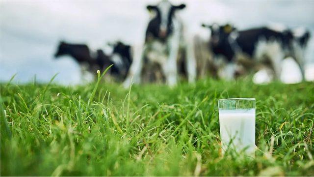 Süt, içerdiği mikrobesinler nedeniyle vücudun daha fazla su emmesini sağlayabilir