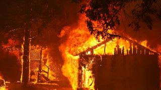 3 haftadır devam ediyor! ABD'nin California eyaletindeki yangında bir kasaba yok oldu, her yer harabeye döndü