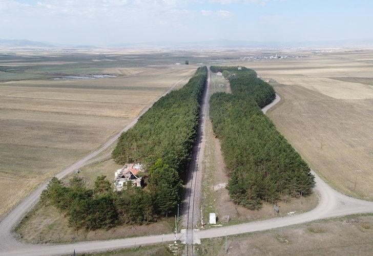 Bu görüntüler Türkiye'den! Bozkırın ortasındaki ‘vaha’ görenleri büyülüyor G2