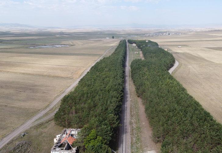 Bu görüntüler Türkiye'den! Bozkırın ortasındaki ‘vaha’ görenleri büyülüyor G4