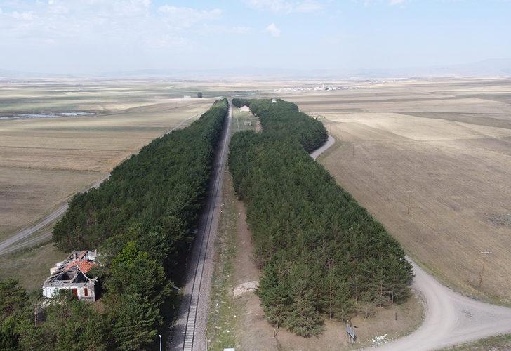 Bu görüntüler Türkiye'den! Bozkırın ortasındaki ‘vaha’ görenleri büyülüyor G5