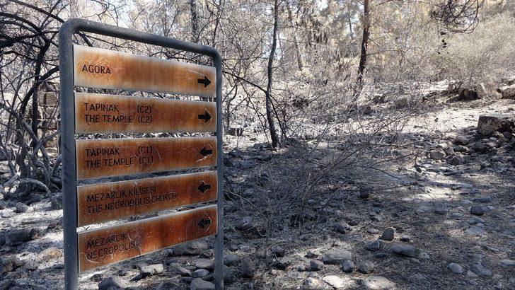 Manavgat'taki yangında Lyrbe Antik Kenti büyük zarar gördü G2