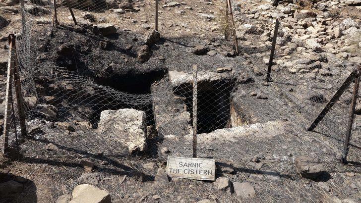 Manavgat'taki yangında Lyrbe Antik Kenti büyük zarar gördü G3